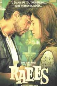 Raees (2017) Hindi