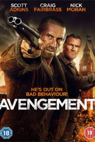 Avengement (2019)