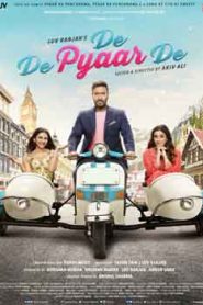 De De Pyaar De (2019) Hindi