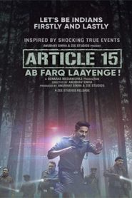 Article 15 (2019) Hindi