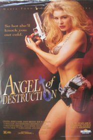 Angel of Destruction (1994)