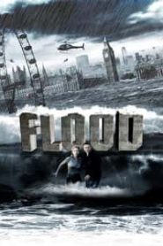 Flood (2007) Hindi Dubbed