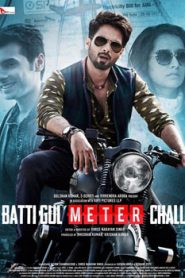 Batti Gul Meter Chalu (2018)