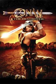 Conan the Barbarian (1982) Hindi Dubbed