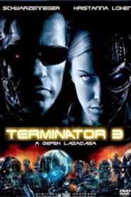 Terminator 3 Rise of the Machines (2003) Hindi Dubbed