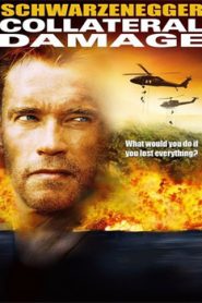 Collateral Damage (2002) Hindi Dubbed