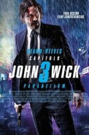 john wick chapter 3 parabellum (2019) Hindi Dubbed