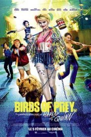 Birds of Prey (2020) Hindi Dubbed