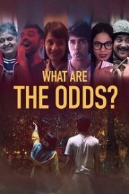 What are the Odds (2020) Hindi