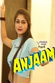 Anjaam FeneoMovies (2020) Hindi Episode 1