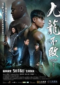 The Invincible Dragon (2019) Hindi Dubbed