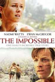 The Impossible (2012) Hindi Dubbed