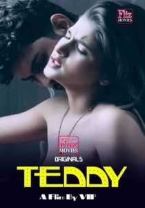 Teddy Flizmovies (2020) Hindi