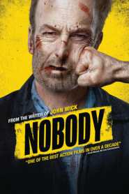 Nobody 2021 Hindi Dubbed