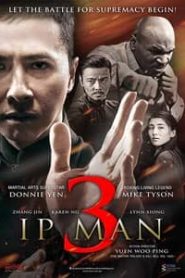 Ip Man 3 2015 Hindi Dubbed