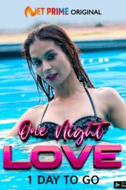 One Night Love 2021 NetPrime