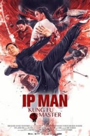 Ip Man Kung Fu Master 2019 Hindi Dubbed