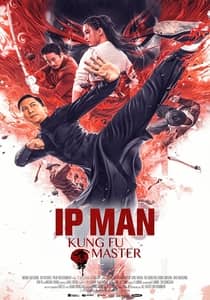 Ip Man Kung Fu Master 2019 Hindi Dubbed