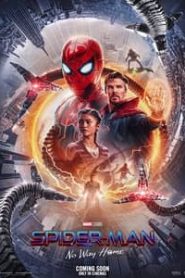 Spider Man No Way Home 2021 Hindi Dubbed