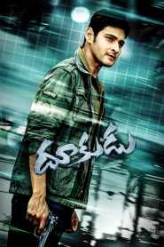 Dookudu (2011) South Hindi Dubbed