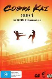 Cobra Kai (2019) Season 1 Hindi Dubbed