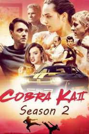 Cobra Kai (2019) Season 2 Hindi Dubbed